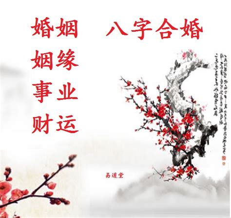 陰配陽婚|八字篇～～合婚－太極易研舘｜痞客